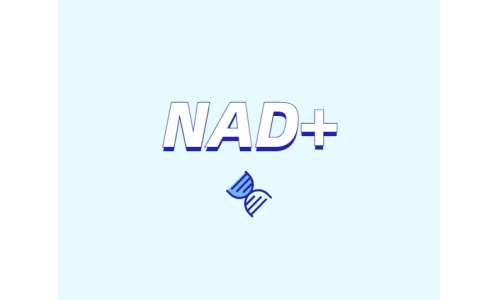 為什么要增強(qiáng)NAD+？