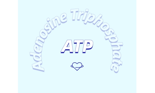 ATP有什么用？